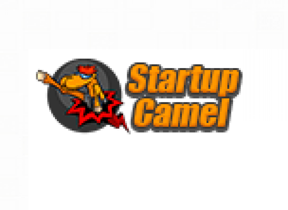 Startup Camel